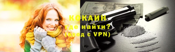 шишки Аркадак