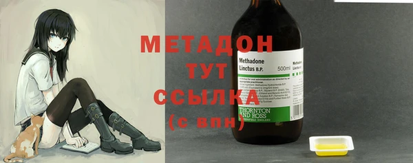 шишки Аркадак