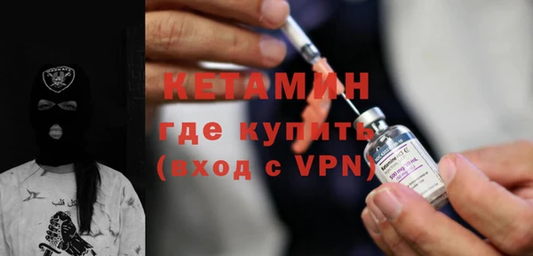 шишки Аркадак