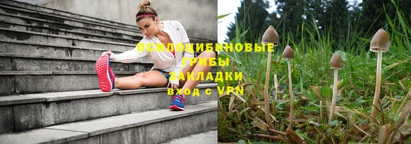mdpv Арсеньев