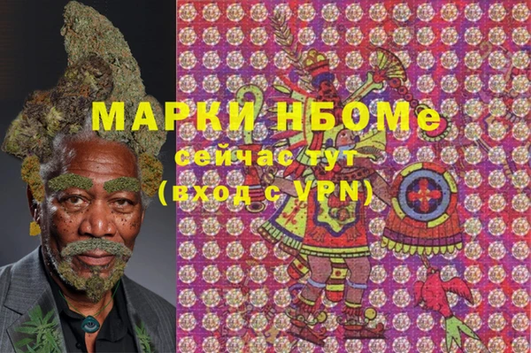 шишки Аркадак