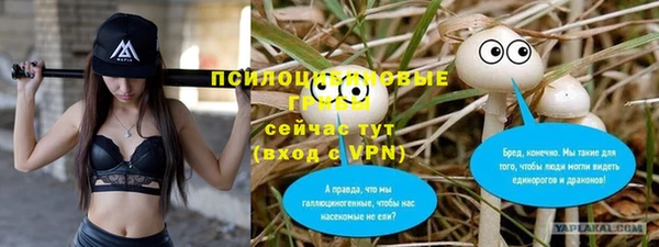 mdpv Арсеньев