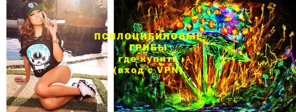 шишки Аркадак